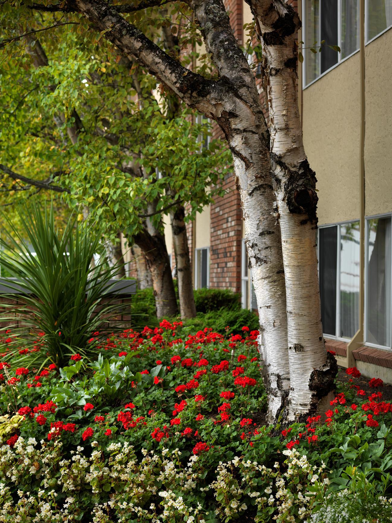 Royal Scot Hotel & Suites Victoria Exteriér fotografie