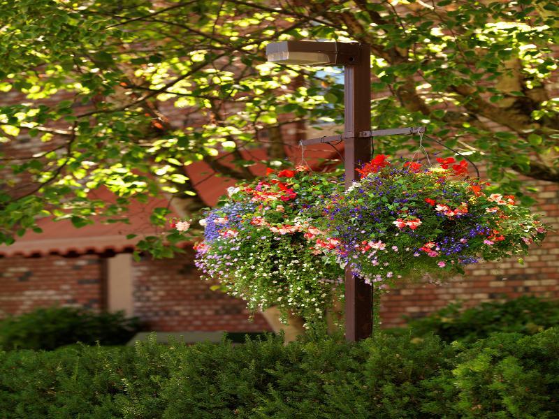 Royal Scot Hotel & Suites Victoria Exteriér fotografie